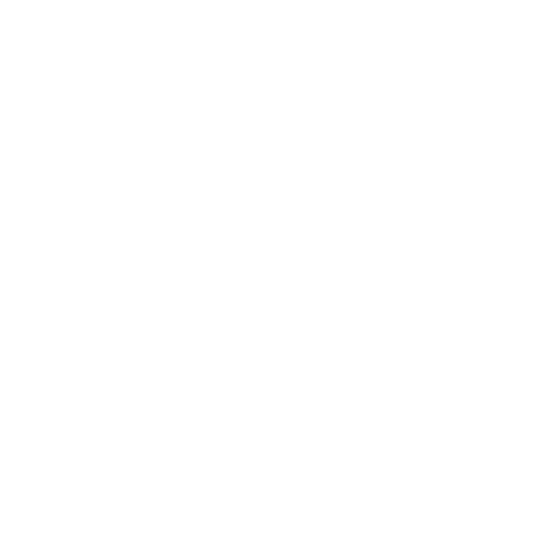 Studio 393