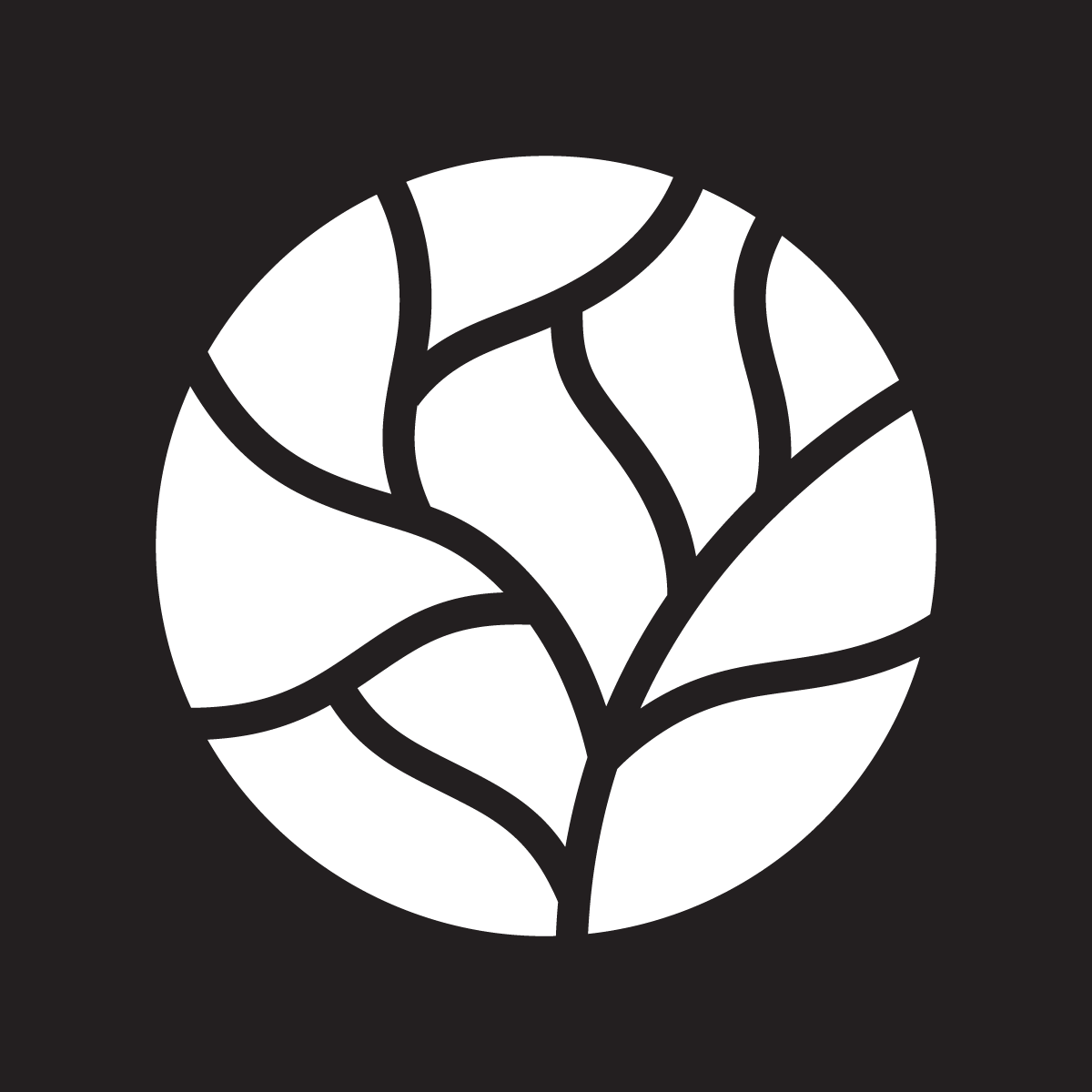 DPU logo symbol white